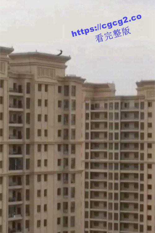 703.jpg 703.jpg