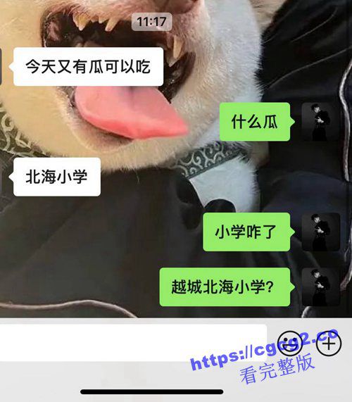 203.jpg 203.jpg