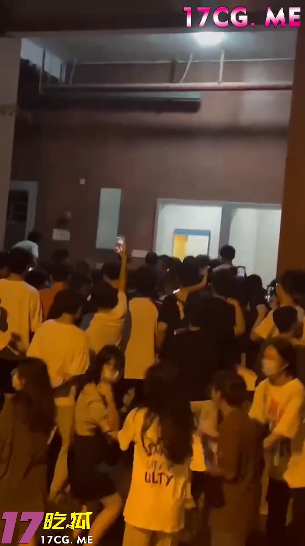 80305-1.jpg 80305-1.jpg